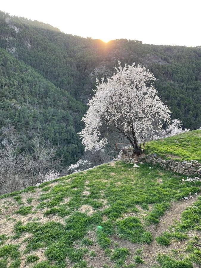 Apartament Cal Marinall Arsèguel Dış mekan fotoğraf
